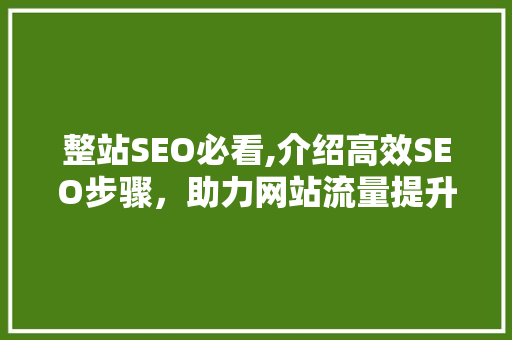 整站SEO必看,介绍高效SEO步骤，助力网站流量提升