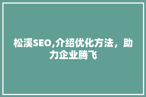 松溪SEO,介绍优化方法，助力企业腾飞