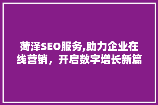 菏泽SEO服务,助力企业在线营销，开启数字增长新篇章