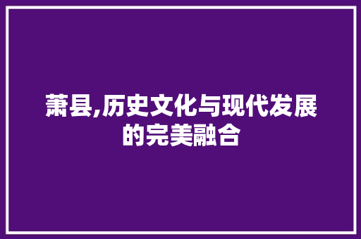 萧县,历史文化与现代发展的完美融合