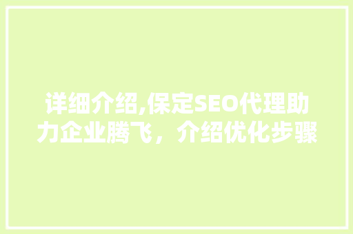 详细介绍,保定SEO代理助力企业腾飞，介绍优化步骤与成功方法
