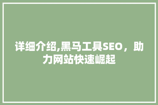 详细介绍,黑马工具SEO，助力网站快速崛起