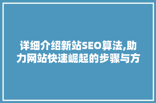 详细介绍新站SEO算法,助力网站快速崛起的步骤与方法