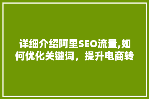 详细介绍阿里SEO流量,如何优化关键词，提升电商转化率