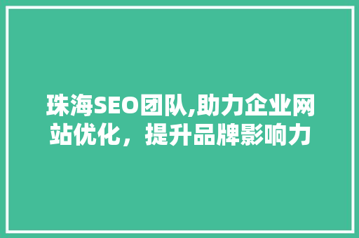 珠海SEO团队,助力企业网站优化，提升品牌影响力