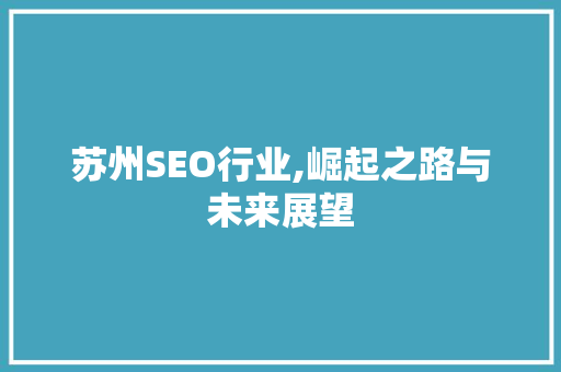 苏州SEO行业,崛起之路与未来展望