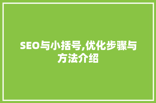 SEO与小括号,优化步骤与方法介绍  第1张