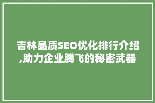 吉林品质SEO优化排行介绍,助力企业腾飞的秘密武器  第1张