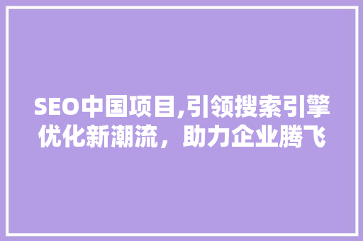 SEO中国项目,引领搜索引擎优化新潮流，助力企业腾飞