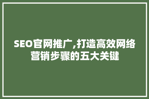 SEO官网推广,打造高效网络营销步骤的五大关键