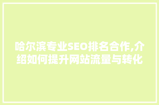 哈尔滨专业SEO排名合作,介绍如何提升网站流量与转化率  第1张