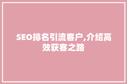 SEO排名引流客户,介绍高效获客之路