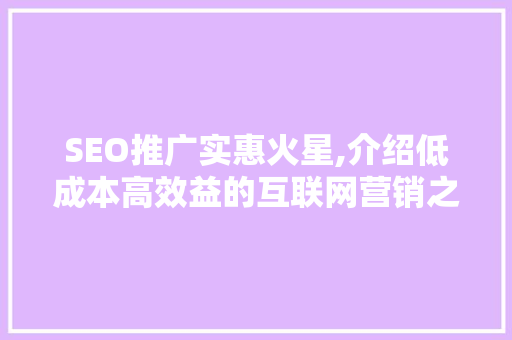 SEO推广实惠火星,介绍低成本高效益的互联网营销之路