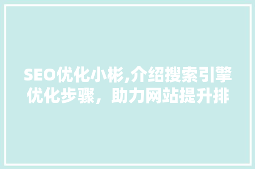 SEO优化小彬,介绍搜索引擎优化步骤，助力网站提升排名