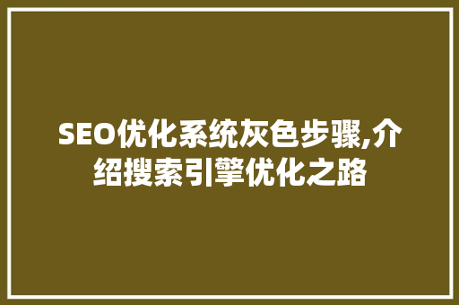 SEO优化系统灰色步骤,介绍搜索引擎优化之路  第1张
