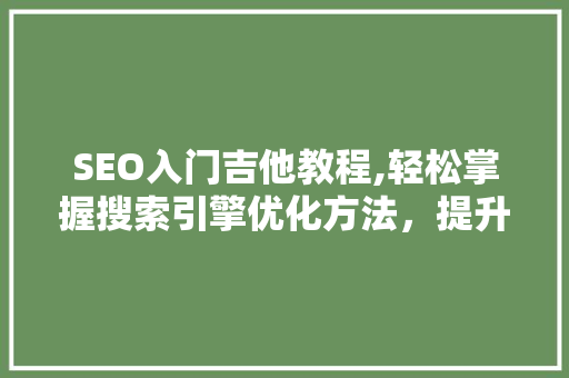 SEO入门吉他教程,轻松掌握搜索引擎优化方法，提升吉他教程网站流量