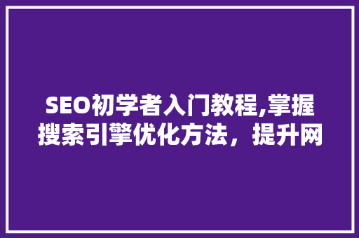 SEO初学者入门教程,掌握搜索引擎优化方法，提升网站排名