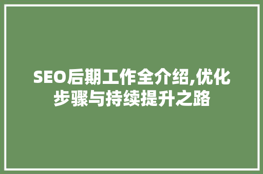 SEO后期工作全介绍,优化步骤与持续提升之路