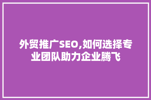 外贸推广SEO,如何选择专业团队助力企业腾飞
