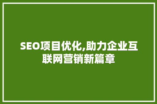 SEO项目优化,助力企业互联网营销新篇章
