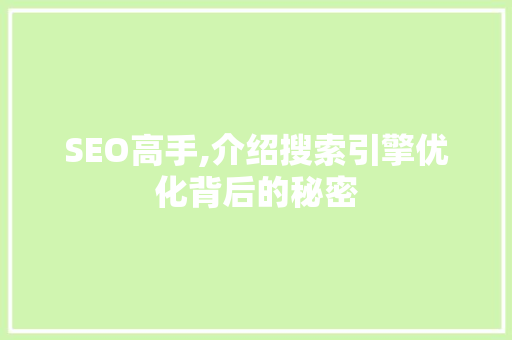 SEO高手,介绍搜索引擎优化背后的秘密  第1张