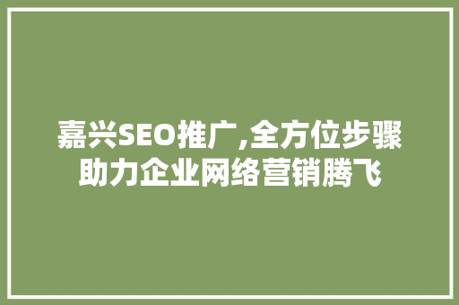 嘉兴SEO推广,全方位步骤助力企业网络营销腾飞  第1张