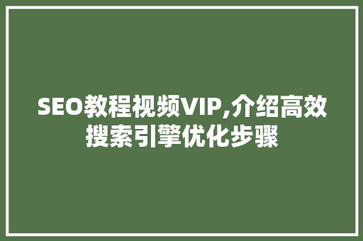 SEO教程视频VIP,介绍高效搜索引擎优化步骤