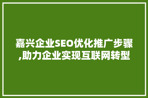 嘉兴企业SEO优化推广步骤,助力企业实现互联网转型与升级