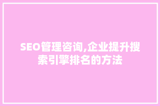SEO管理咨询,企业提升搜索引擎排名的方法