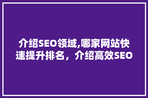 介绍SEO领域,哪家网站快速提升排名，介绍高效SEO步骤