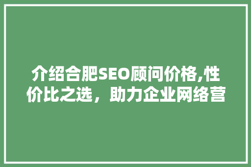 介绍合肥SEO顾问价格,性价比之选，助力企业网络营销
