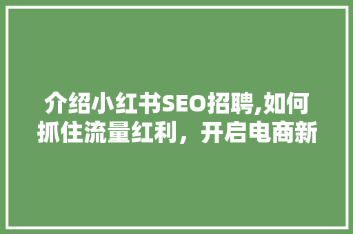 介绍小红书SEO招聘,如何抓住流量红利，开启电商新篇章