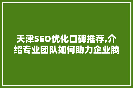 天津SEO优化口碑推荐,介绍专业团队如何助力企业腾飞  第1张