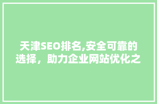 天津SEO排名,安全可靠的选择，助力企业网站优化之路