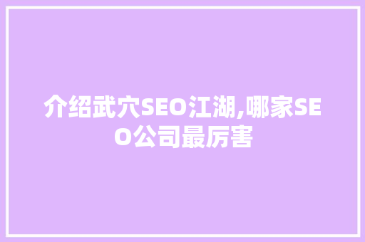 介绍武穴SEO江湖,哪家SEO公司最厉害
