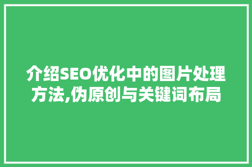 介绍SEO优化中的图片处理方法,伪原创与关键词布局的艺术