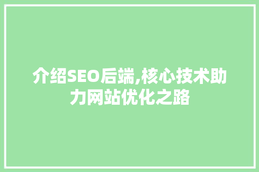 介绍SEO后端,核心技术助力网站优化之路