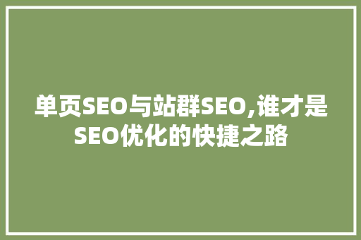 单页SEO与站群SEO,谁才是SEO优化的快捷之路