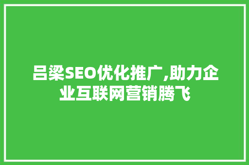 吕梁SEO优化推广,助力企业互联网营销腾飞