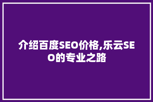 介绍百度SEO价格,乐云SEO的专业之路