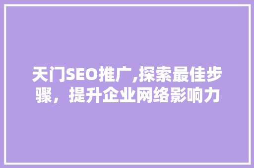 天门SEO推广,探索最佳步骤，提升企业网络影响力