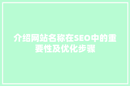 介绍网站名称在SEO中的重要性及优化步骤