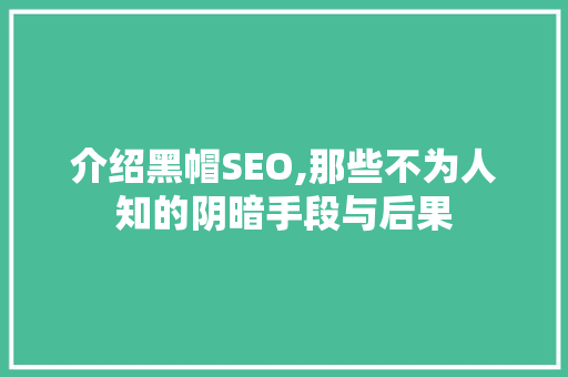介绍黑帽SEO,那些不为人知的阴暗手段与后果