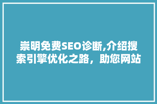 崇明免费SEO诊断,介绍搜索引擎优化之路，助您网站腾飞