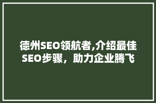 德州SEO领航者,介绍最佳SEO步骤，助力企业腾飞