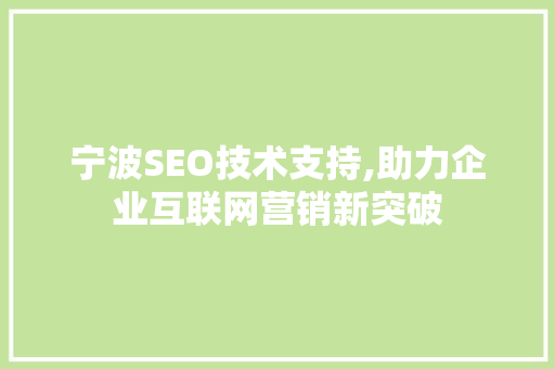 宁波SEO技术支持,助力企业互联网营销新突破