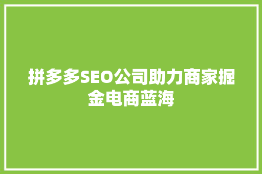 拼多多SEO公司助力商家掘金电商蓝海