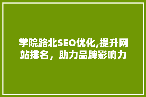 学院路北SEO优化,提升网站排名，助力品牌影响力