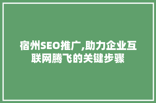 宿州SEO推广,助力企业互联网腾飞的关键步骤