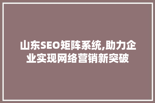 山东SEO矩阵系统,助力企业实现网络营销新突破